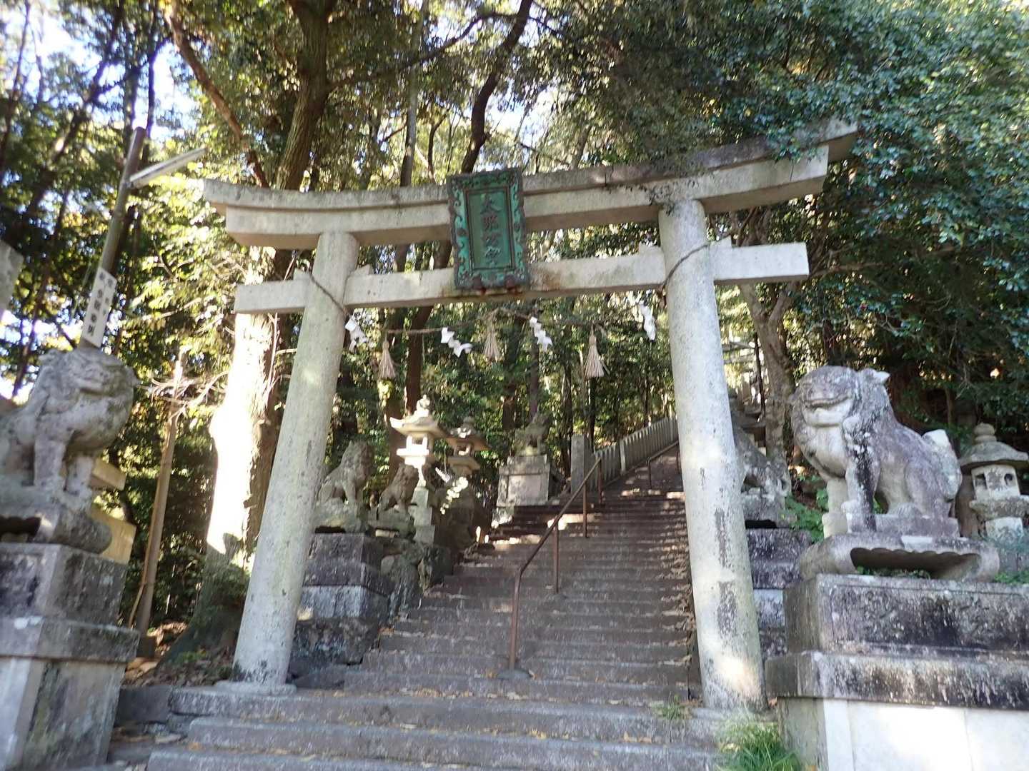 阿賀神社-太郎坊山-箕作山-瓦屋禅寺 往復コースの写真