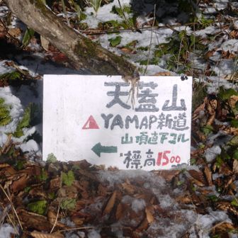 帰りはYAMAP新道