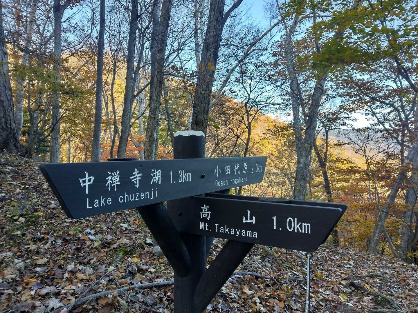 山頂下りて、中禅寺湖と小田代ヶ原分岐…落葉で踏み跡👣が消え、案内板助かります。これけらそういう季節になりますね😊