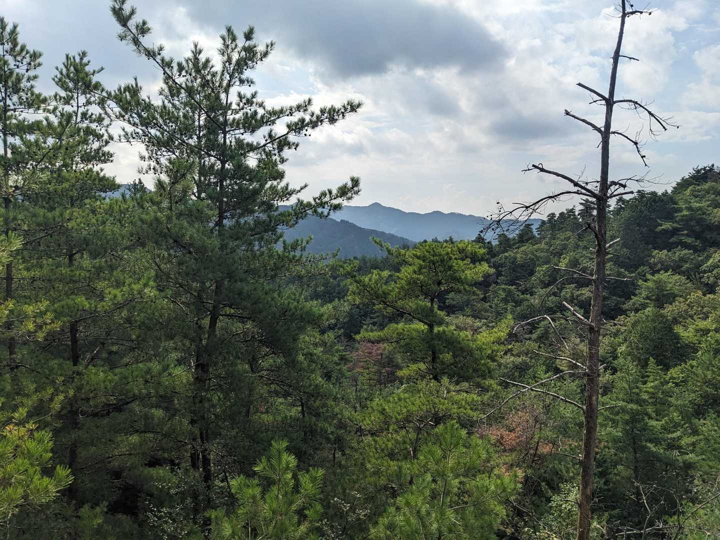 景気も見ないとね😉