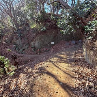 ここは弘法山からの合流です