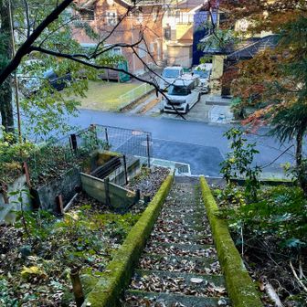 いったん車道へ下りて