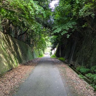 日見新道
明治時代に山を33m掘り下げ切り通しにして通行しやすくした
ということは江戸時代の街道はさらに上を通っていたということか