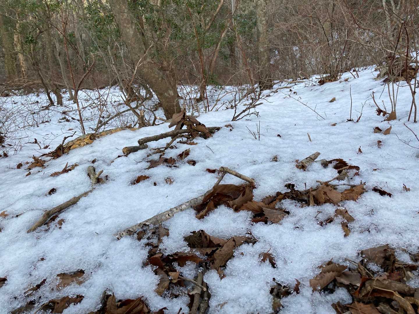 雪❄️