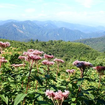 焼石岳を望む