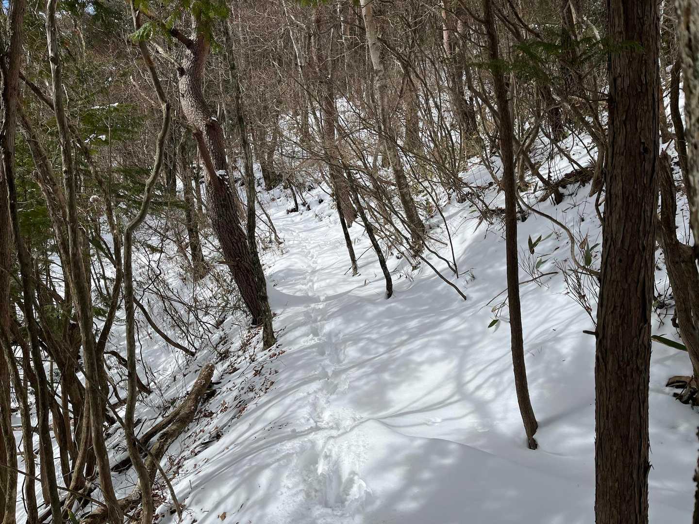 先行者がお一人
足跡👣助かります！