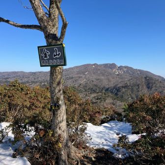 金山から釈迦ヶ岳。釈迦ヶ岳かっこいいやん