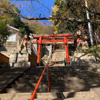 諏訪神社
御創建
諏訪神社は今より千六百有余年の昔、仁徳天皇の皇后八田皇女の離宮鎮護神として信州諏訪大社より奉斎されたと伝えられています。稲荷大神は安永七年十一月御神託に従って伏見稲荷大社より勧請されました。
