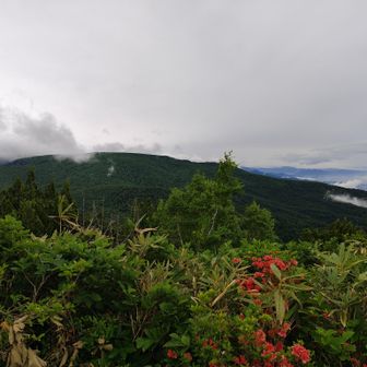 山頂からの眺め