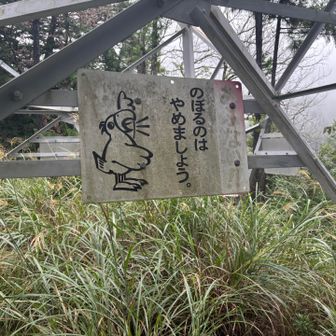誰がのぼるか🤣