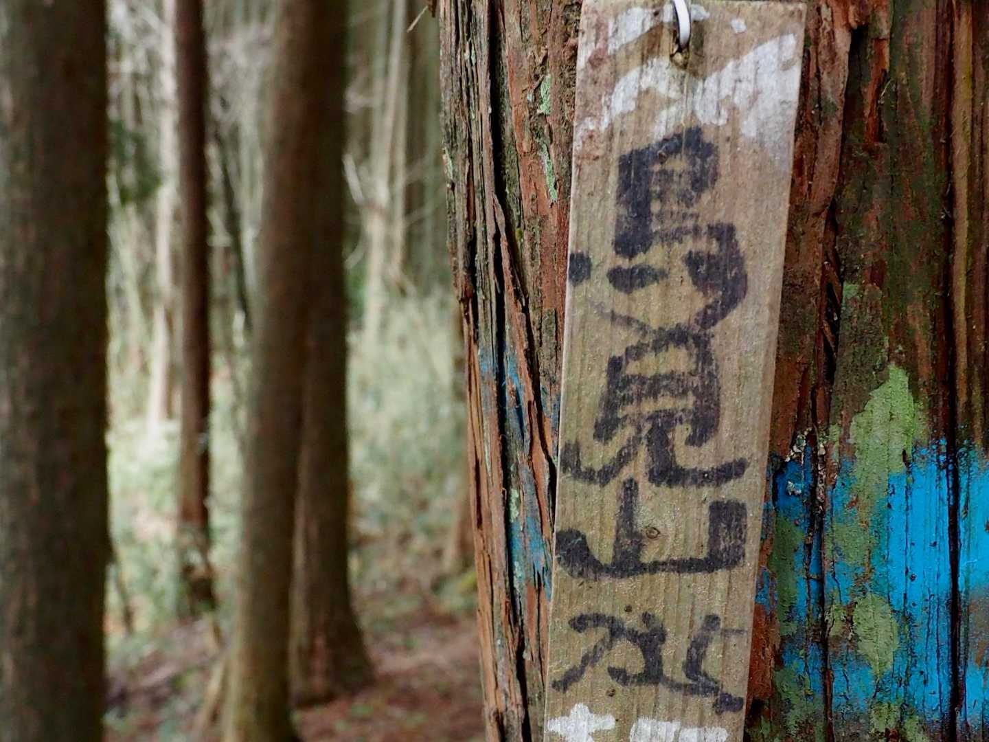 貝ヶ平山に行くよ