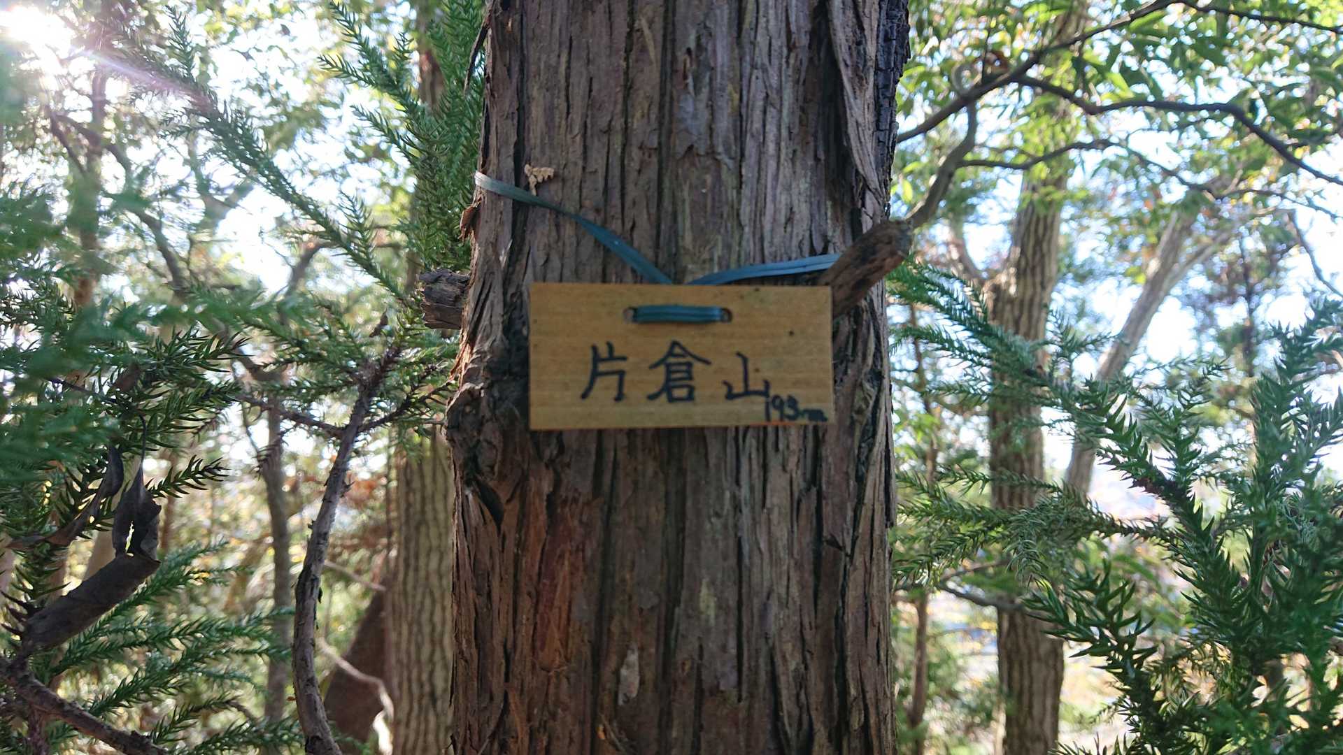 ここも安心の海さん山名板