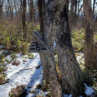 三角山✨✨✨お久しぶりです🥰
ここで、ソロの方に出会い、北泉ヶ岳の情報をいただく。軽アイゼンでも歩ける雪の量のようだ。ありがたい❣️後は、泉ヶ岳山頂の風の様子を見て決めるよう。
