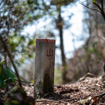 道中に出てきた「山」