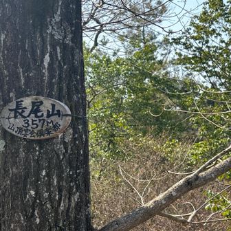 山頂プレート「長尾山357m」