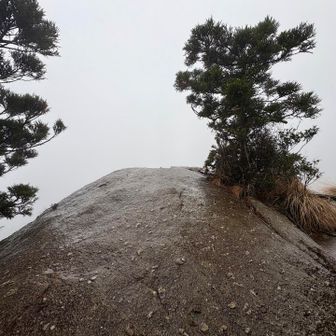 残念ながら太鼓岩からの眺望はガスガスでした