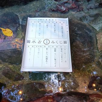 水占みくじの結果は？？？