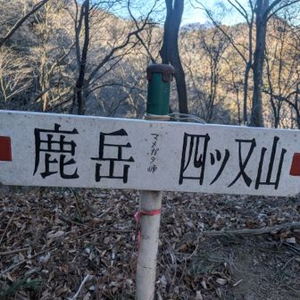 四ッ又山までは割と急登