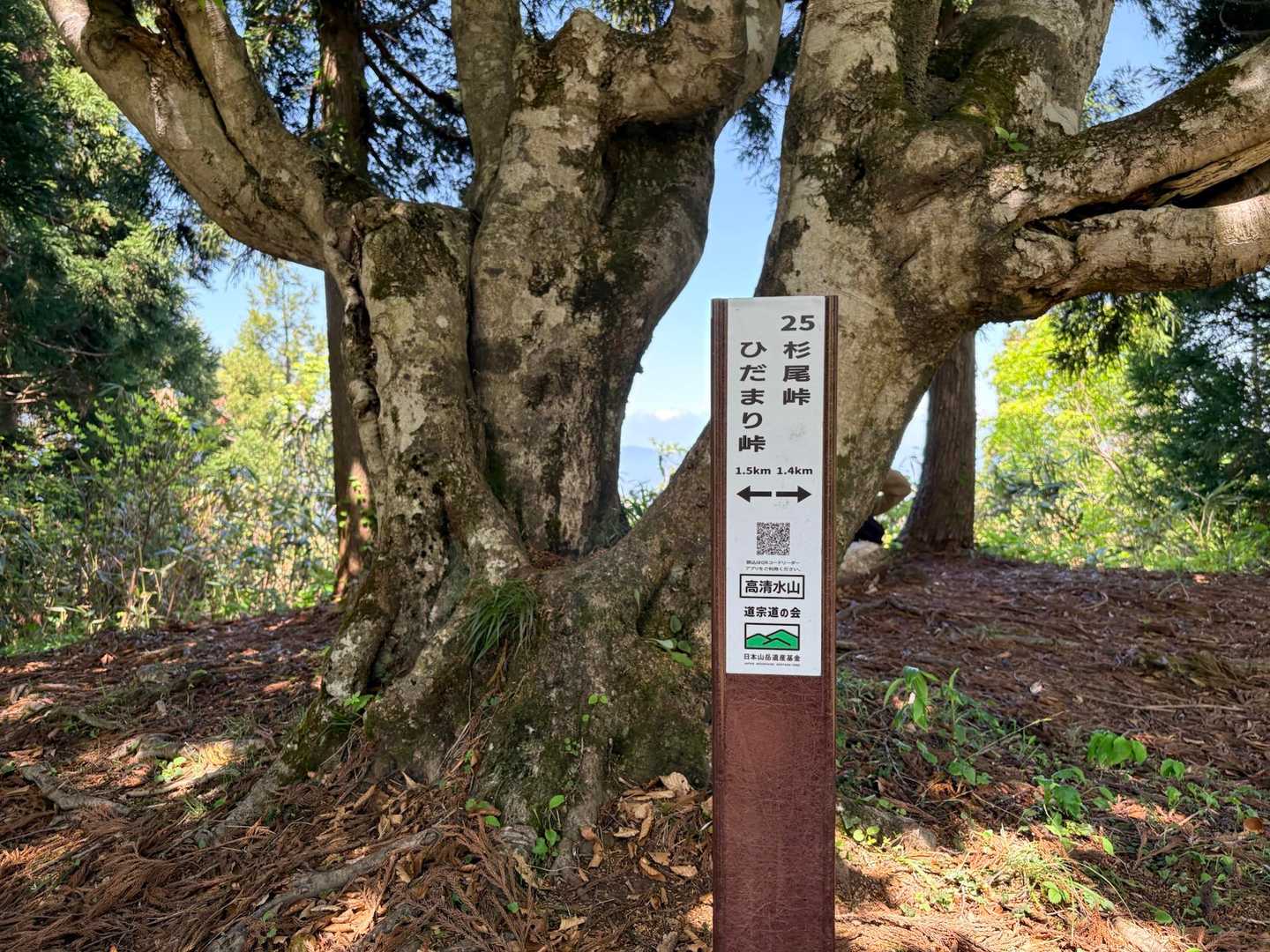 高清水山-高落場山-草沼山 周回コースの写真