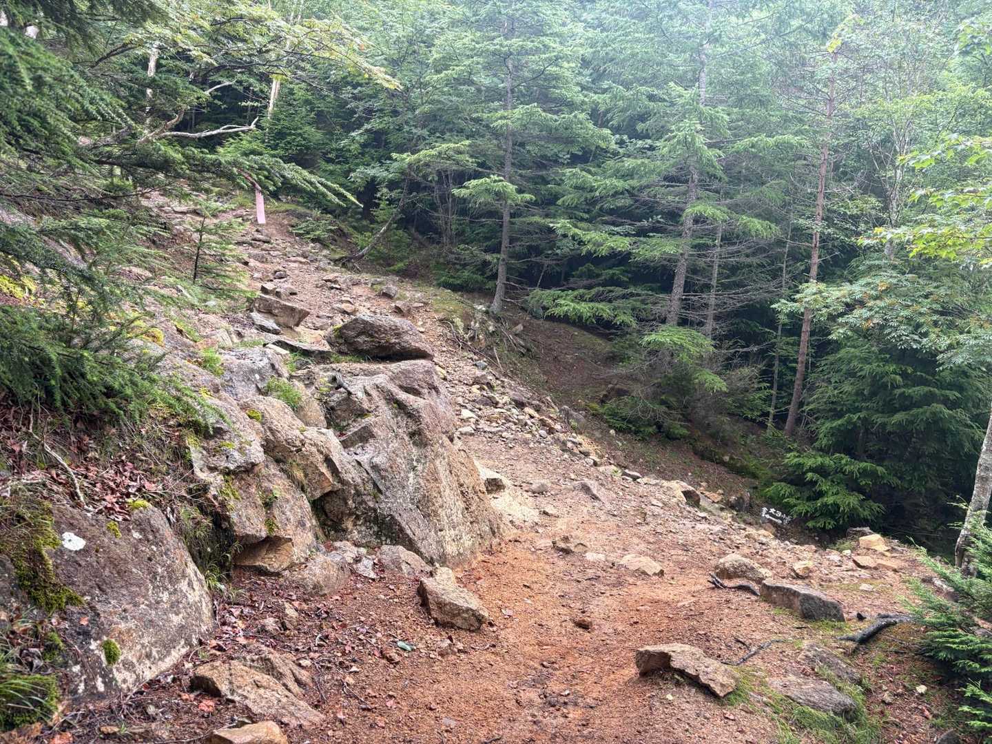 ここ！
4月にわたしが引き返した大日小屋前。
あ、わたし⛺️はじめて、まだ3ヶ月なんだー🤭