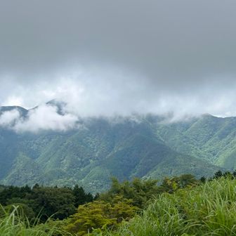 葛城山頂から金剛山の勇姿を見たかったのですが、今日は雲かかってます
金剛山も、何か悩んでるやろか