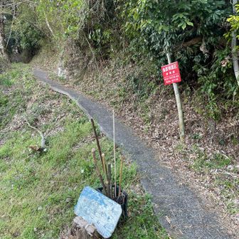 ここに降りてきました