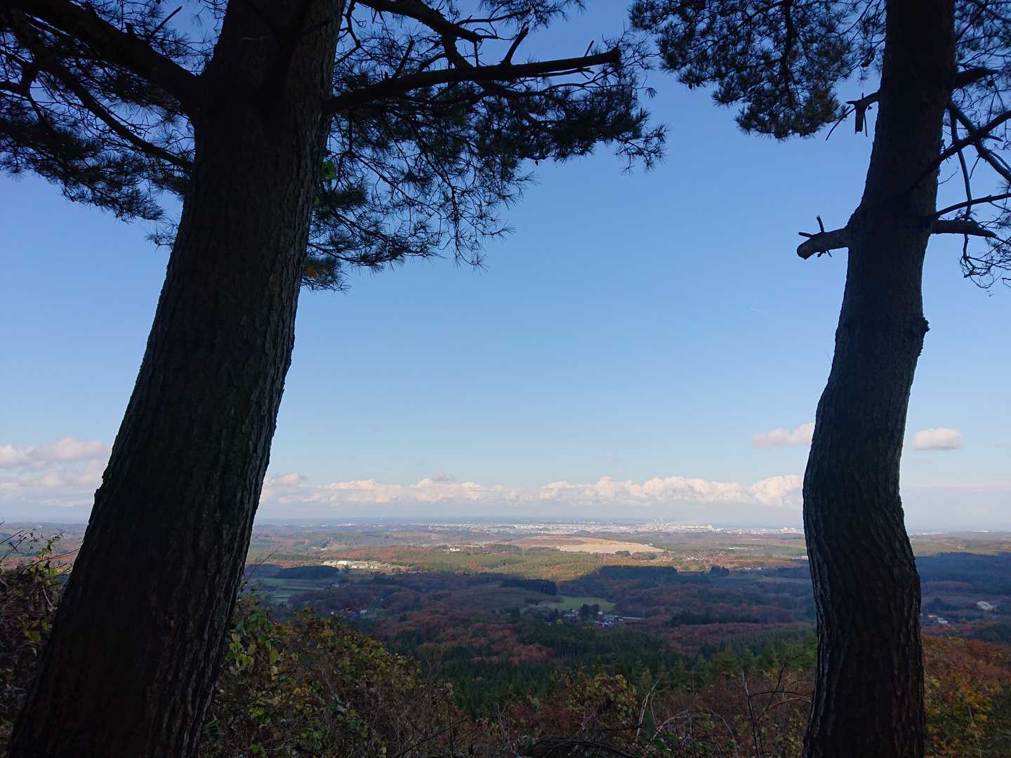階上岳鳥屋部登山口-つくし森-南岳-階上岳-大びらき 周回コースの写真