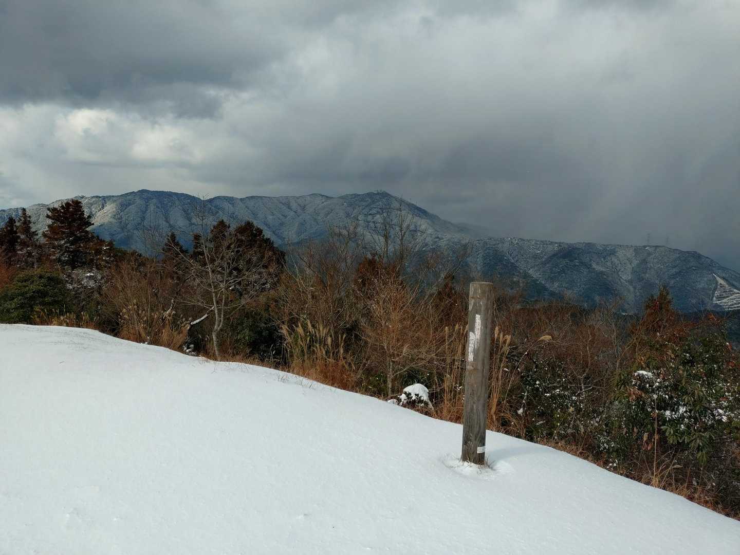 大根地山 往復コースの写真