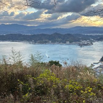 結論としては、山頂ではなく手前の鳥居付近の眺めがいい模様。