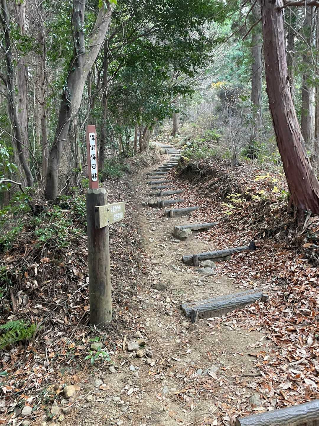 宮路山 往復コースの写真
