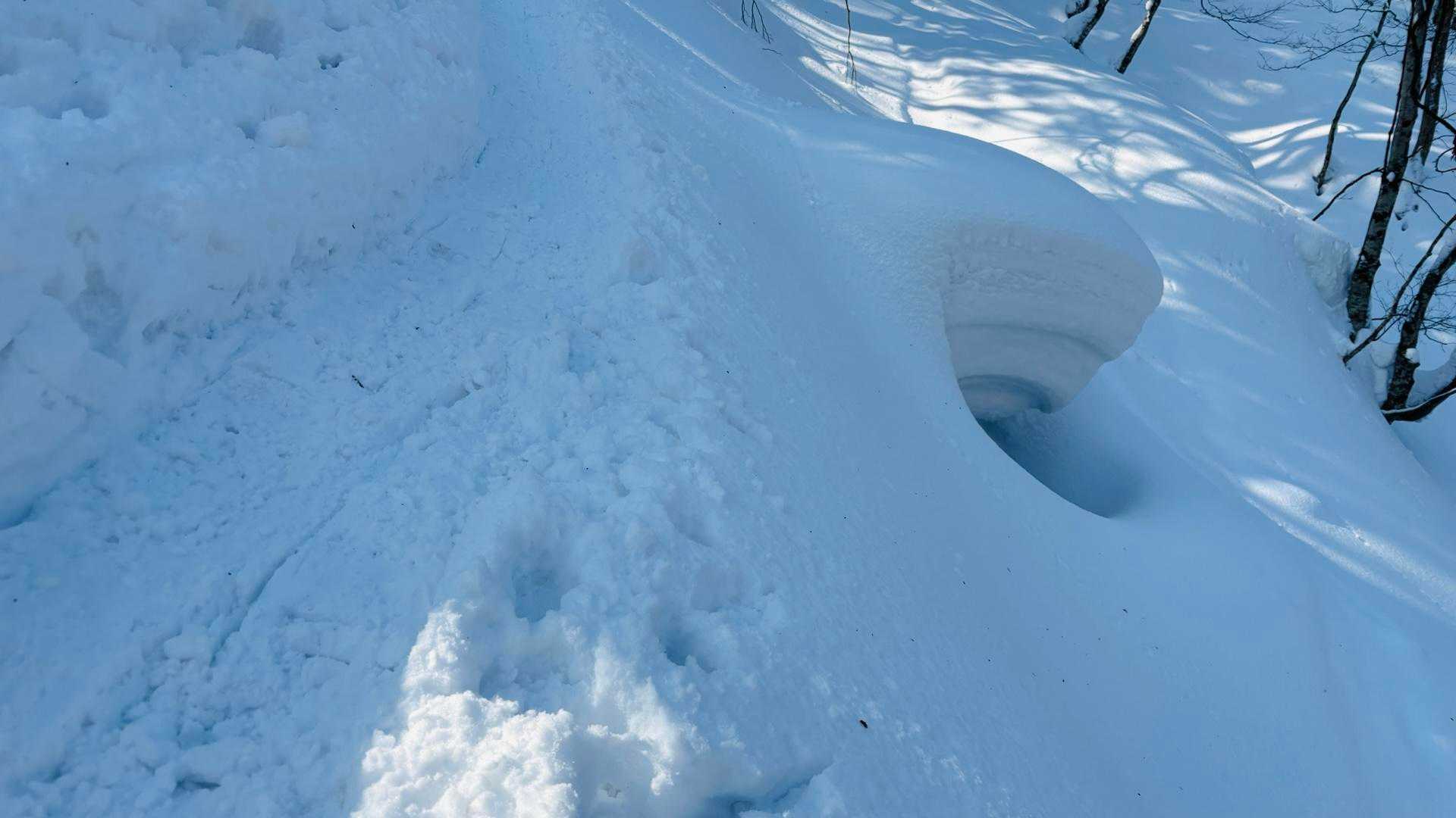 雪庇