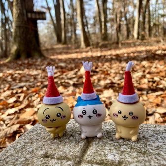 🚩茶臼山山頂。かわいいお仲間さん✨