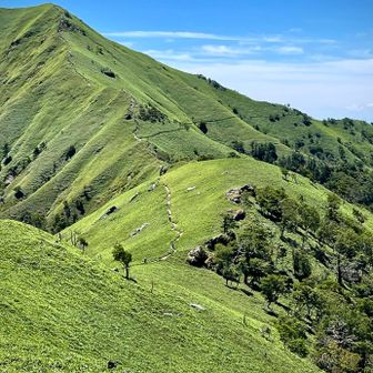 あの稜線を右➡️に丸石山方面へ
