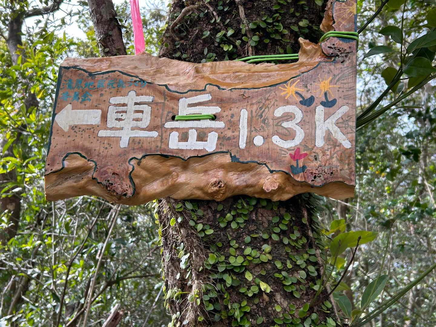 坊津アルプス草野岳登山口-草野岳-尊牛山-車岳-指揮所跡- 縦走コースの写真