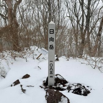 日向岳山頂。眺望はほとんどなく、ここだけは吹き曝しだったのですぐに下山。
