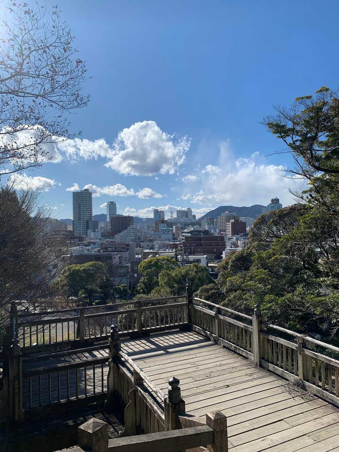 谷津山 周回コースの写真