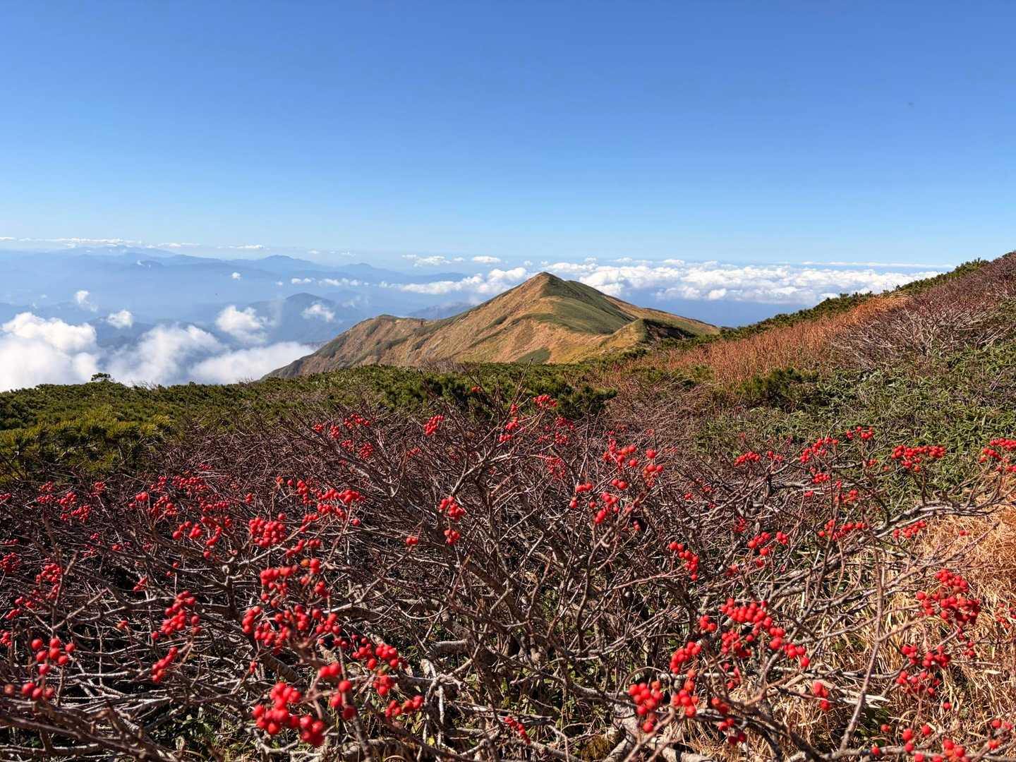 飯豊連峰・ダイグラ〜飯豊山〜大日岳 / ぶぅの登山データ | YAMAP