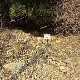 ここから登り始める