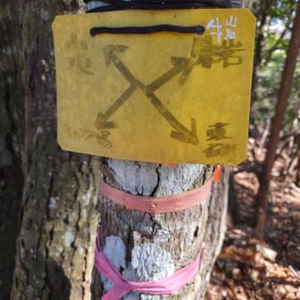 鞍部の分岐に戻って
牛岩地区へ下山します

岩峰は無いけれど落ち葉ズルズルの急斜面でした
