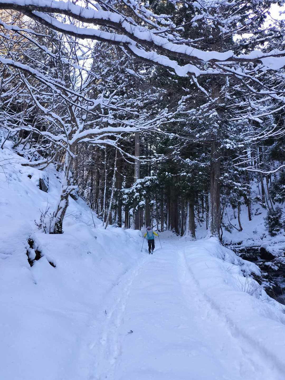 俵坂峠-峰床山 往復コースの写真