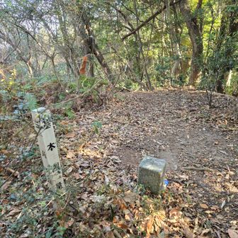 山頂標識見当たらず？