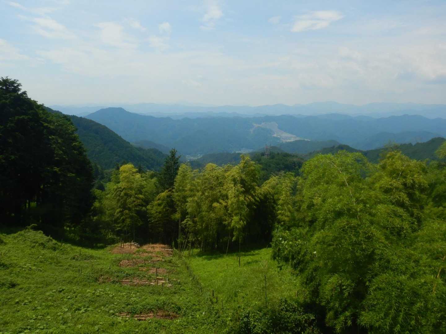 富士山は見えず