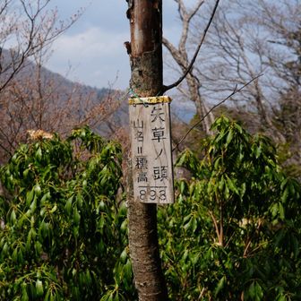 過日見過ごした山頂標を回収
標高893m😱だから矢草(893)ノ頭ってことか