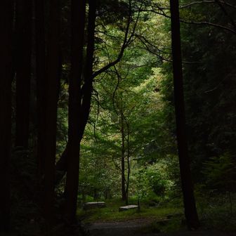 今日も良い時間だった。