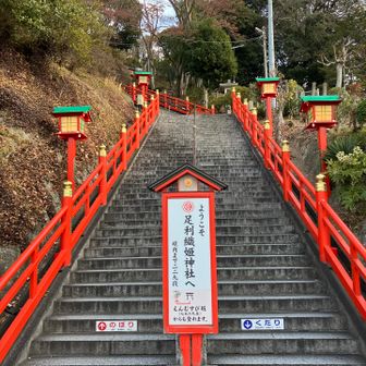 さいこうふれあいセンターに駐車して
織姫神社に参拝して登山ルートへ

まずは階段……
ウォーミングアップですね( ˊᵕˋ ;)