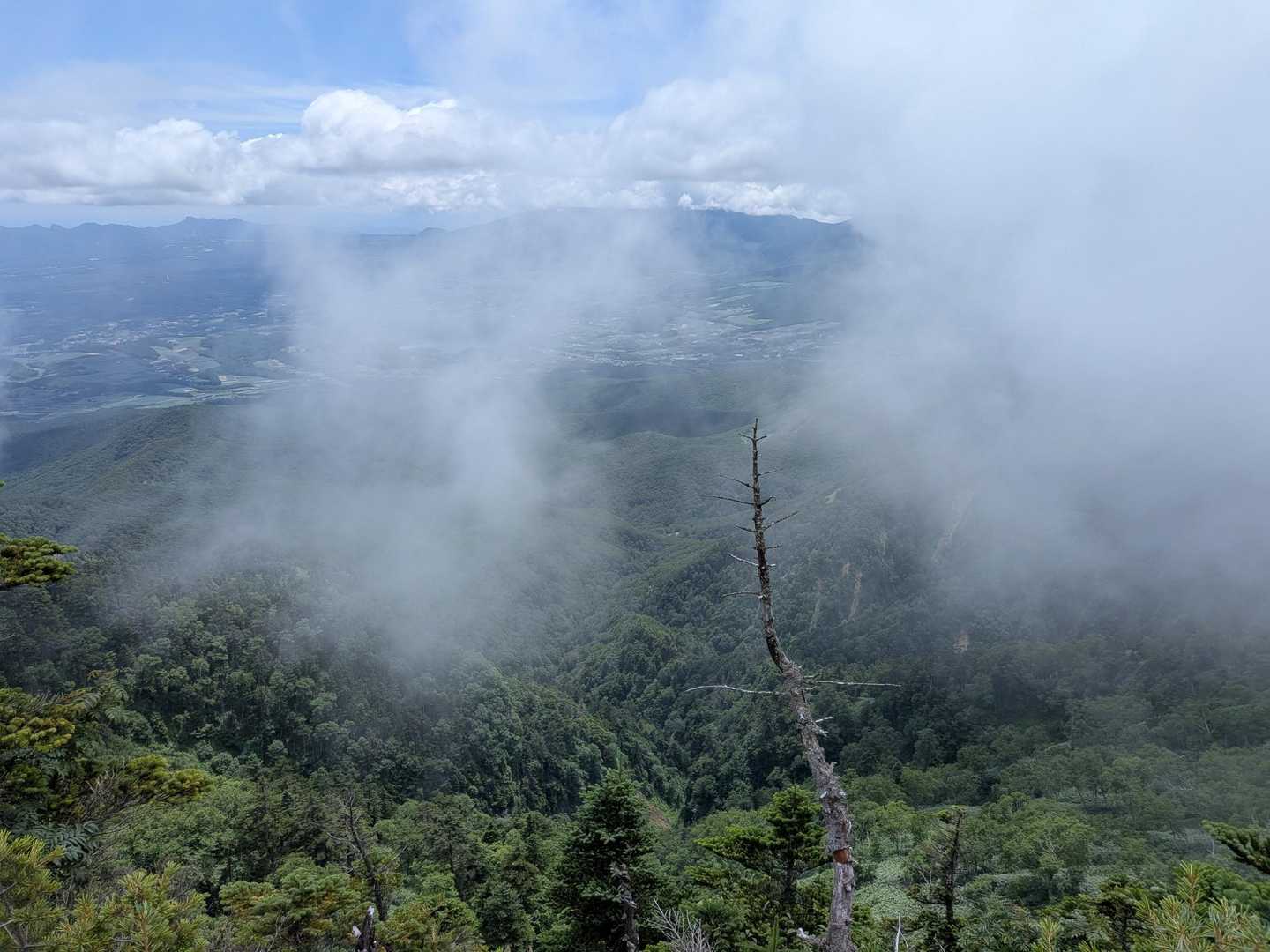 四阿山 往復コースの写真
