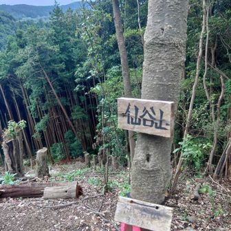 ここもなんとか展望あるよ