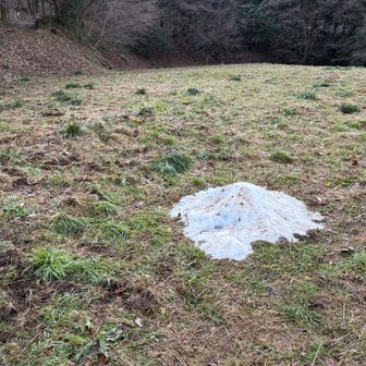 ちょい名残り、、

なんで？あそこだけ？
ちょい疑問、、