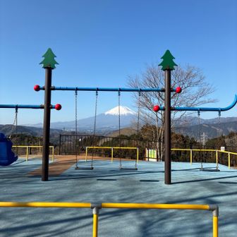 つぶらの公園にあるもう一つの山。つつじ山山頂です。こんな素敵な場所にあるブランコ、日本中探しても無いでしょう。
但し年齢制限あって大人は使用不可です。