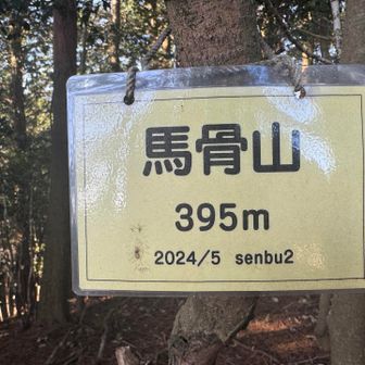 標高395メートル